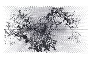 image-1323