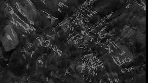 image-1154