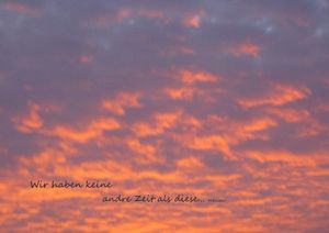 image-1284